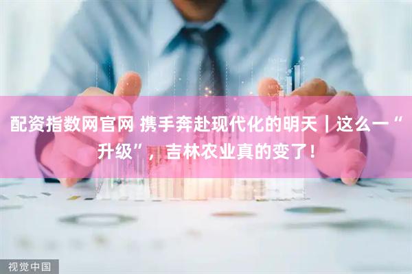 配资指数网官网 携手奔赴现代化的明天｜这么一“升级”，吉林农业真的变了！